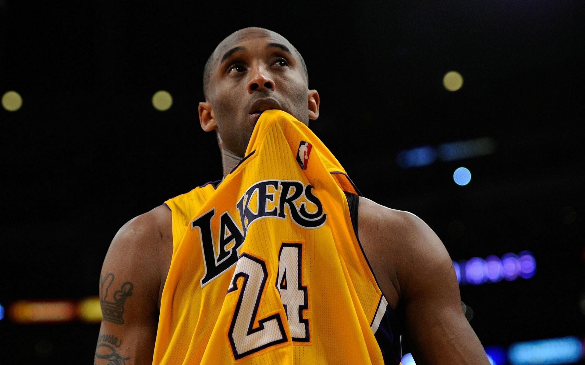 废白土浸出设备