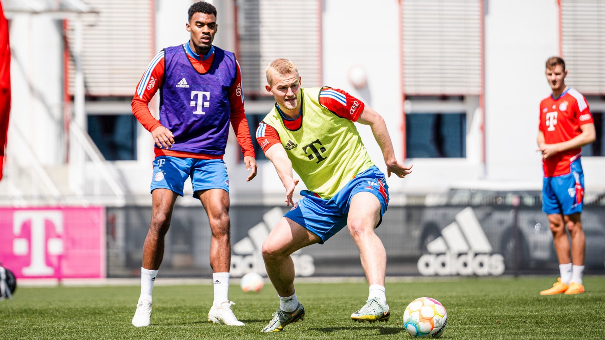 YZYX15型螺旋榨油机