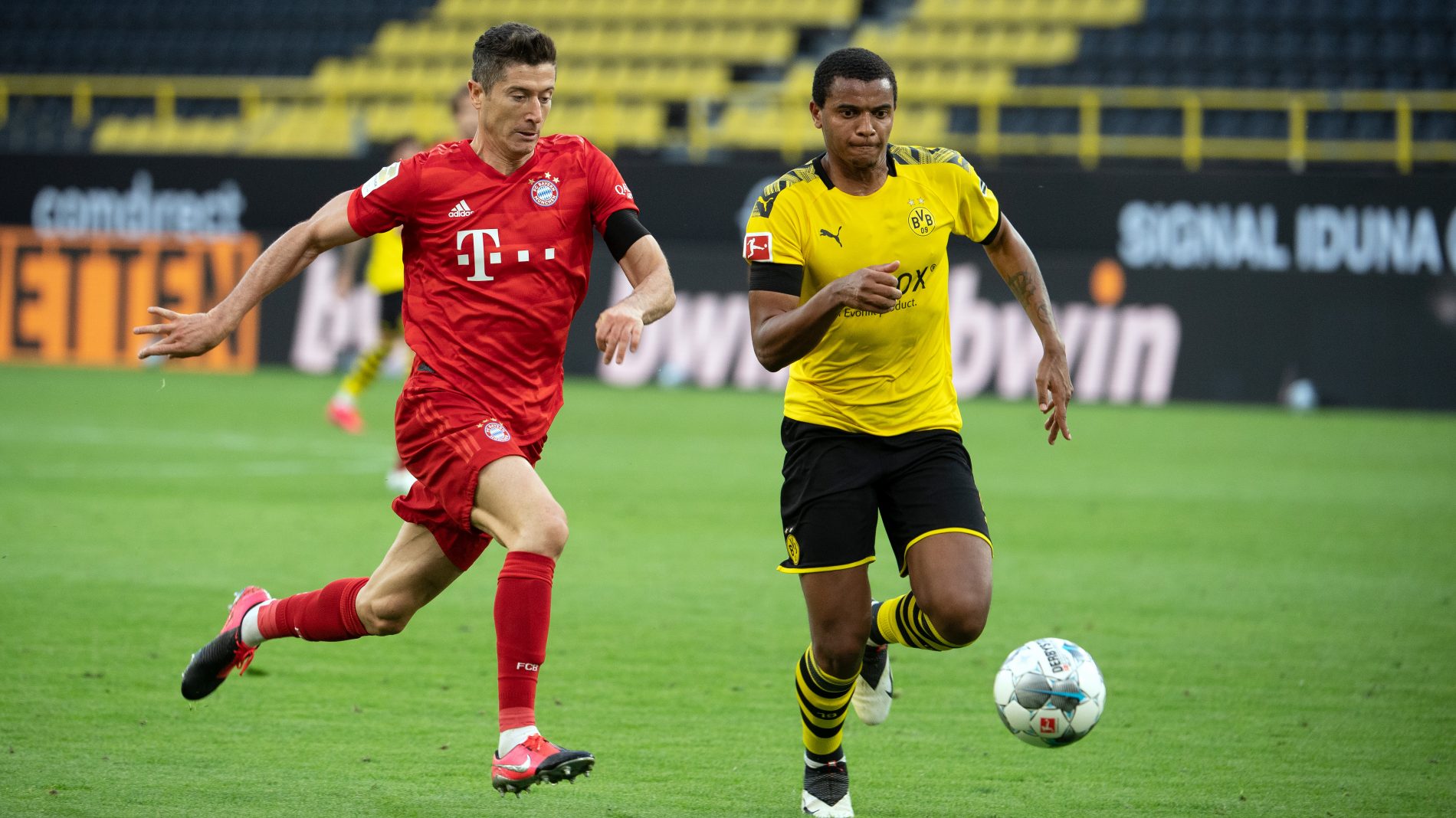 动物油熬炼设备